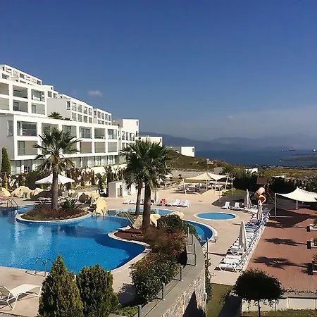 Horizon Sky Lemon 4 *
