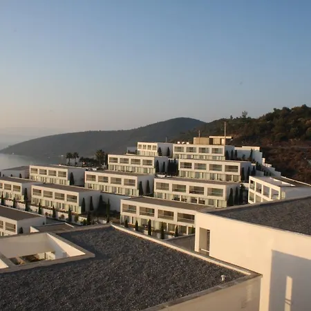 Horizon Sky Lemon 4 Kıyıkıslacık